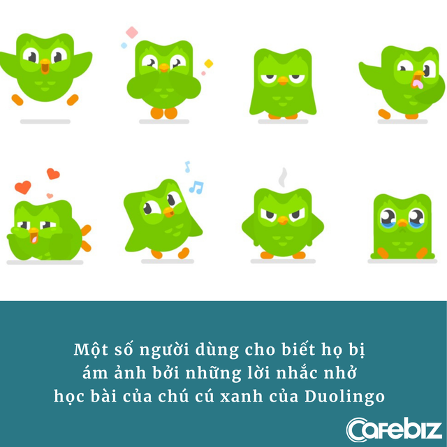 Duolingo phát triển app học Toán, người dùng hoang mang: Bị ‘cú xanh’ nhắc học ngoại ngữ là quá đủ rồi! - Ảnh 2.
