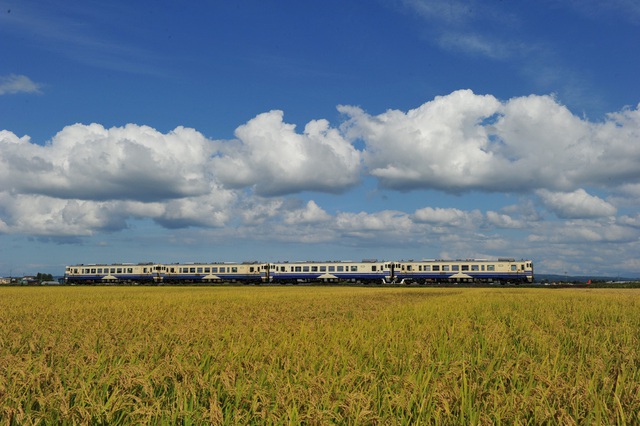  [ẢNH] Hiện trạng 37 toa tàu Nhật Bản dùng 40 năm mà Đường sắt Việt Nam muốn nhập về - Ảnh 1.