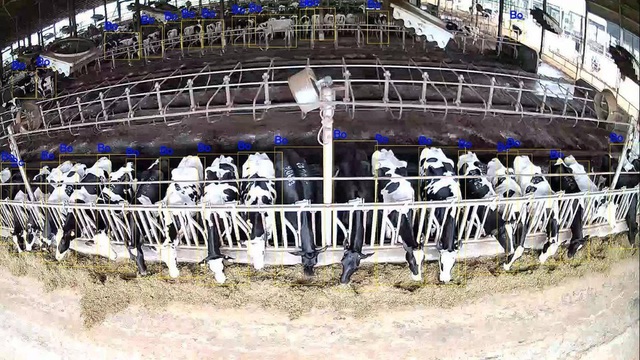  Ông Nguyễn Tử Quảng khoe công nghệ camera Bkav AI View trong nuôi bò - Ảnh 2.