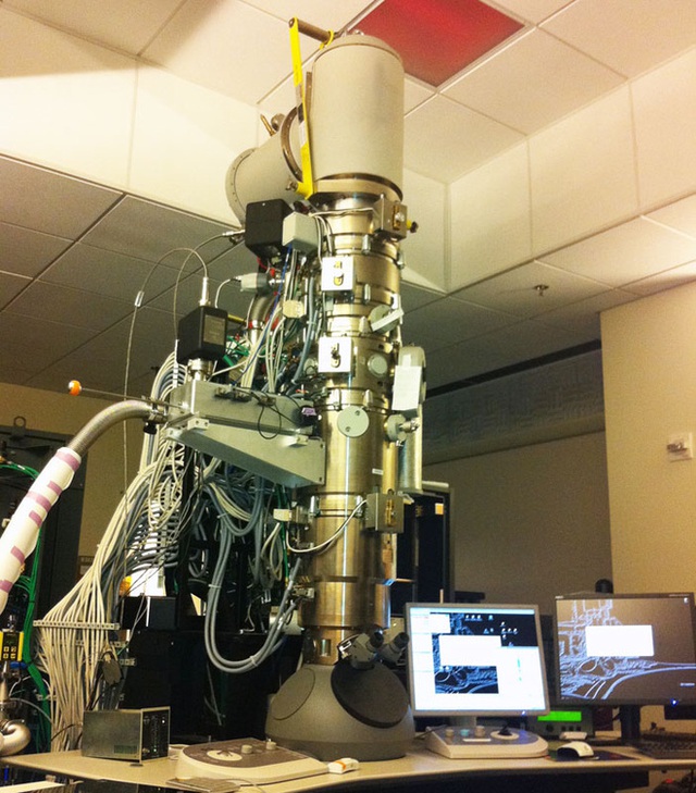 Công nghệ kính hiển vi này đã cho phép chúng ta nhìn thấy từng nguyên tử trong tế bào - Ảnh 2.