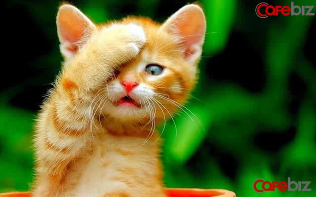 5 con giáp may mắn nhất tuần mới (1/11 - 7/11), tiền đổ về ào ạt mà không phải hao tâm tổn sức quá nhiều!  - Ảnh 3.