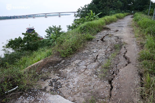  Hà Nội: Cận cảnh hơn 100m bờ đê sông Hồng bị sạt lở, hàng chục hộ dân sống trong lo lắng - Ảnh 8.
