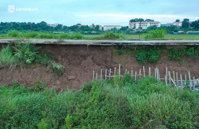  Hà Nội: Cận cảnh hơn 100m bờ đê sông Hồng bị sạt lở, hàng chục hộ dân sống trong lo lắng - Ảnh 9.