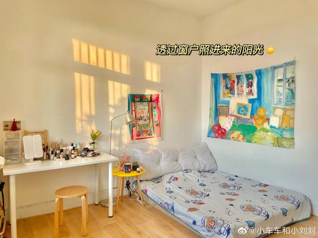 Hai người bạn thân nghỉ hưu ở tuổi 29: Không yêu đương, không xã giao, mua một căn nhà cùng sống vô lo vô nghĩ  - Ảnh 18.