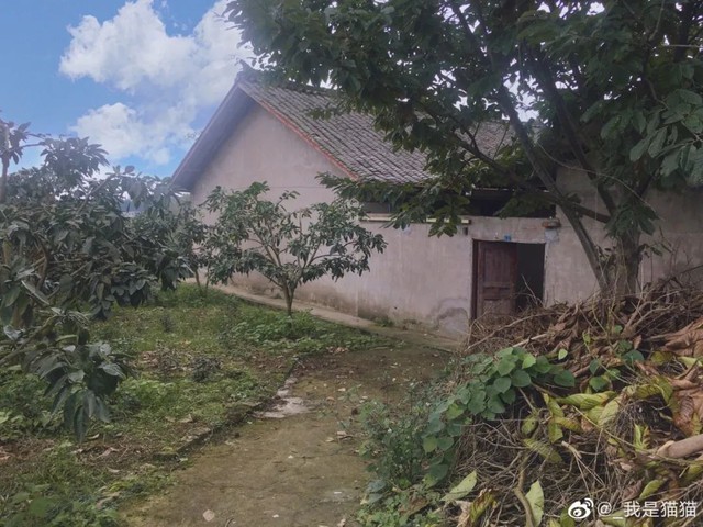 Hai người bạn thân nghỉ hưu ở tuổi 29: Không yêu đương, không xã giao, mua một căn nhà cùng sống vô lo vô nghĩ  - Ảnh 9.