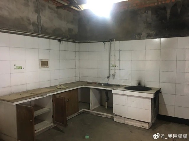 Hai người bạn thân nghỉ hưu ở tuổi 29: Không yêu đương, không xã giao, mua một căn nhà cùng sống vô lo vô nghĩ  - Ảnh 10.