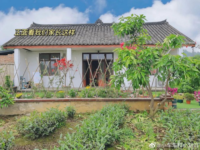 Hai người bạn thân nghỉ hưu ở tuổi 29: Không yêu đương, không xã giao, mua một căn nhà cùng sống vô lo vô nghĩ  - Ảnh 16.