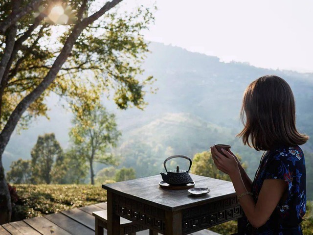 Giữa những người thường xuyên uống trà và những người thường xuyên uống nước, ai có sức khỏe tốt hơn? Hãy nghe chuyên gia giải đáp... - Ảnh 3.