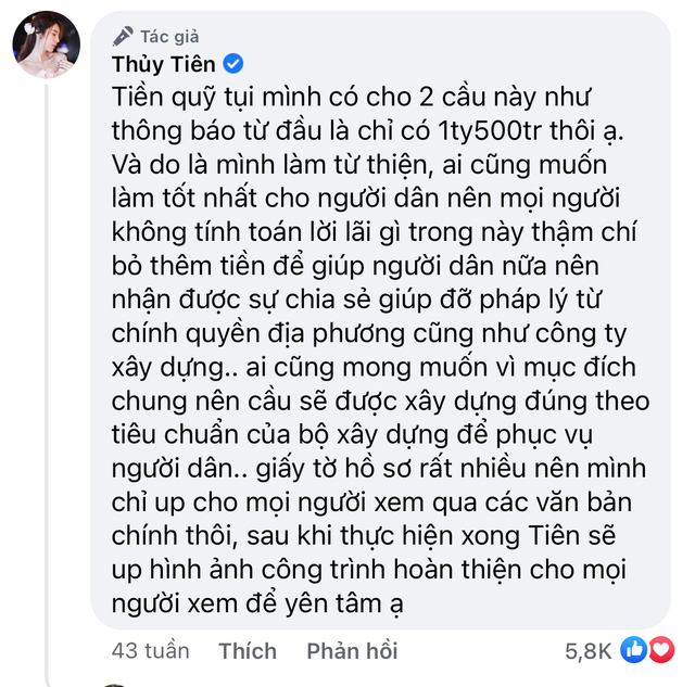 Thuỷ Tiên từng nói về việc chênh lệch 645 triệu xây cầu: Mọi người không tính lời lãi gì - Ảnh 4.