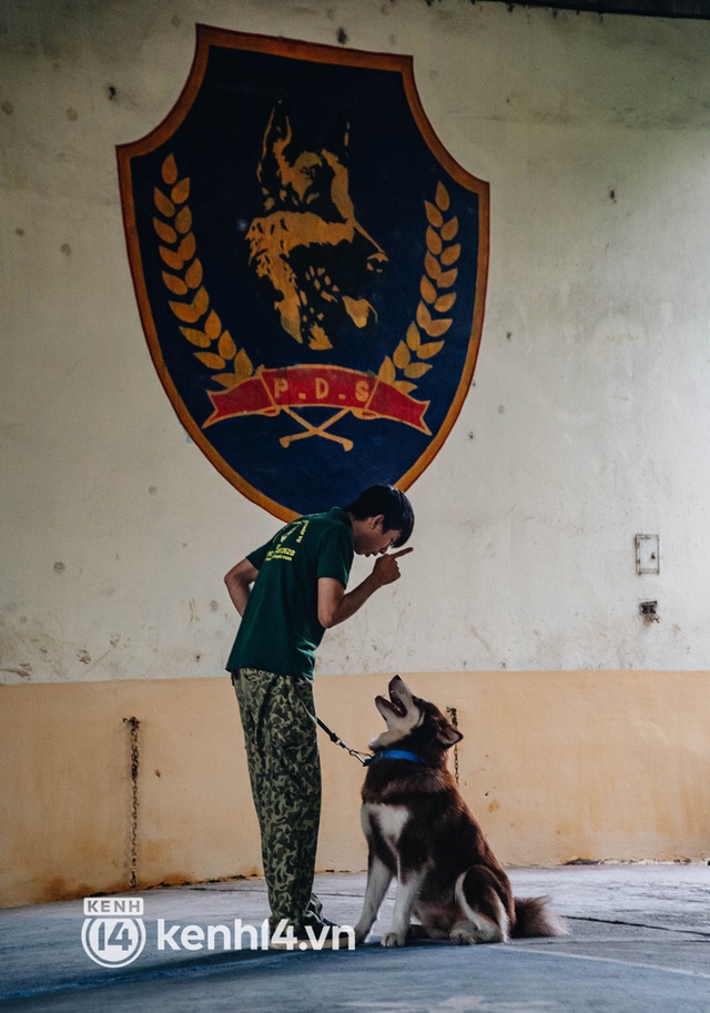  Ngộ nghĩnh học kỳ quân đội của những chú cún ở Hà Nội: Không đủ điểm tốt nghiệp thì phải... học lại - Ảnh 7.