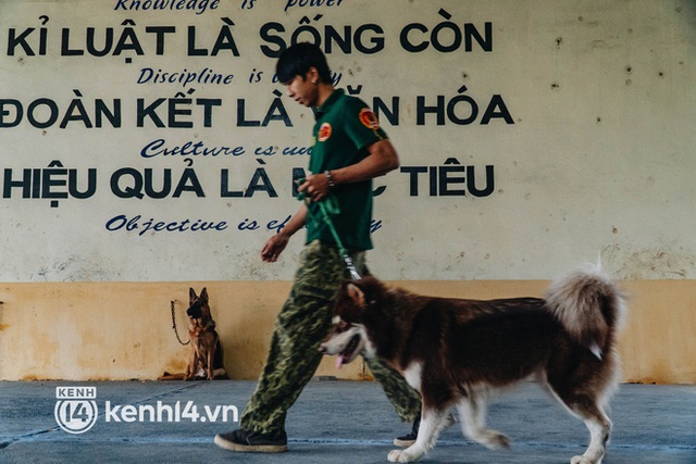  Ngộ nghĩnh học kỳ quân đội của những chú cún ở Hà Nội: Không đủ điểm tốt nghiệp thì phải... học lại - Ảnh 9.