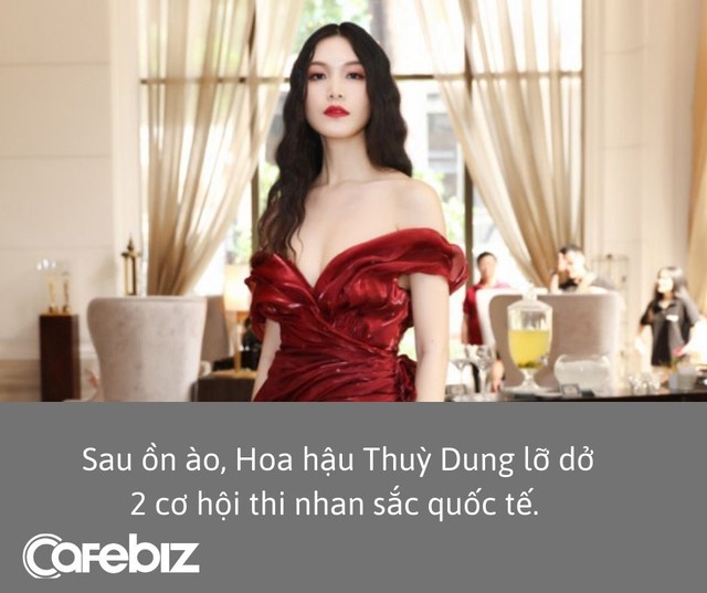 Nói Về Việt Nam không khí khó thở hơn ở Mỹ, Hoa hậu Thuỳ Dung là ai? - Ảnh 2.