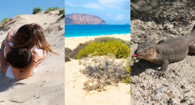 Nạn quan hệ trên cát đang giết dần giết mòn hòn đảo đẹp bậc nhất châu Âu với những hình ảnh chướng mắt - Ảnh 4.