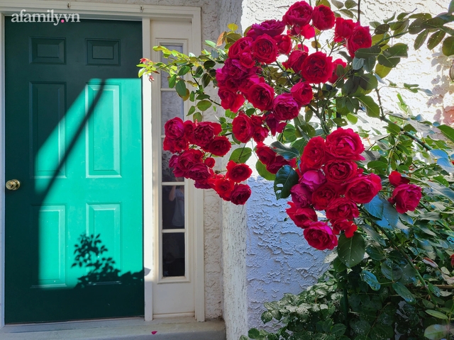 Ngắm ngôi nhà theo phong cách vintage, sân vườn bát ngát hoa đẹp như tranh vẽ của mẹ Việt ở Mỹ  - Ảnh 17.