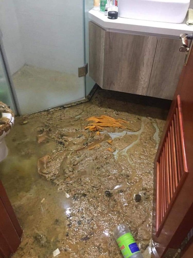 Ác mộng có thật: Căn hộ chung cư cao cấp gặp sự cố bồn cầu phun như núi lửa, chất thải ngập ngụa tới tận phòng ngủ! - Ảnh 3.