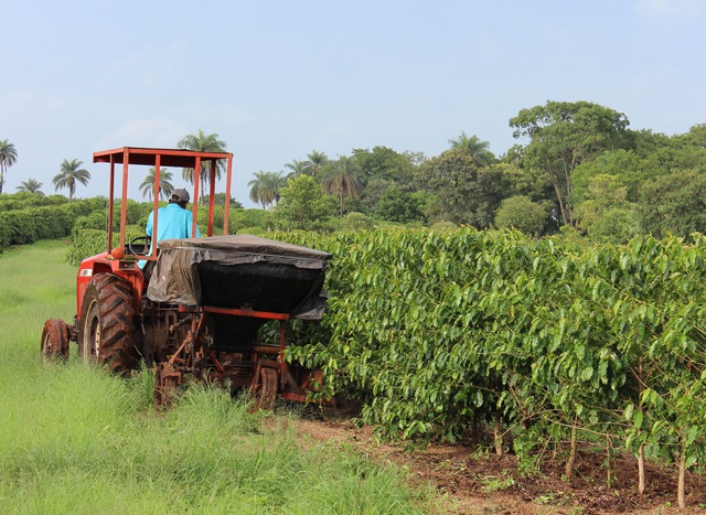 Brazil: Vùng đất ‘vô dụng’, chuyên nhập khẩu nông sản thành cường quốc nông nghiệp thế giới, nuôi lợn dùng robot, trồng đậu dùng 5G - Ảnh 2.