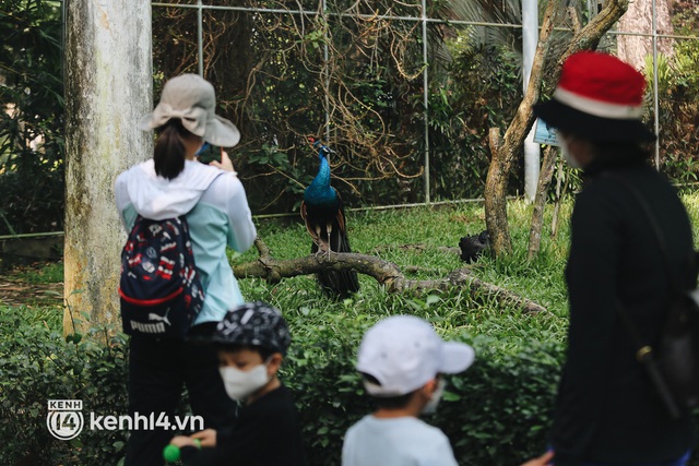  Ngày đầu Thảo Cầm Viên Sài Gòn mở cửa sau 6 tháng tạm dừng vì dịch, người dân háo hức mua vé ghé thăm bầy thú - Ảnh 8.