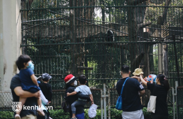  Ngày đầu Thảo Cầm Viên Sài Gòn mở cửa sau 6 tháng tạm dừng vì dịch, người dân háo hức mua vé ghé thăm bầy thú - Ảnh 9.