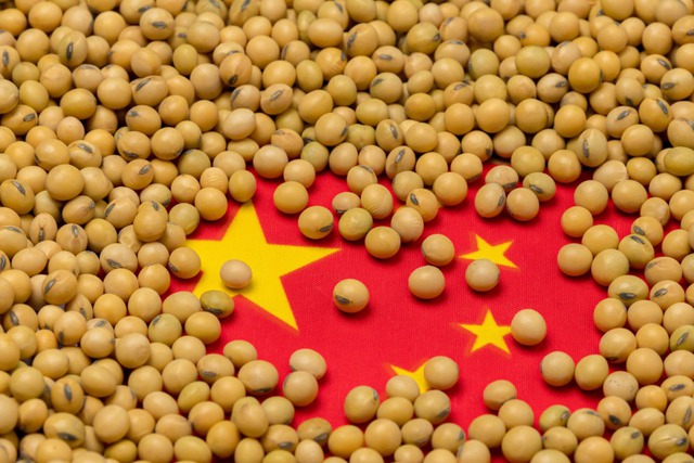 Trung Quốc chật vật nuôi 1,4 tỷ người: Nhập khẩu mọi thứ từ ngũ cốc đến ngô, chỉ cần một khuyến cáo tích trữ những thứ cần thiết cũng có thể khiến dân tình hoảng loạn - Ảnh 2.