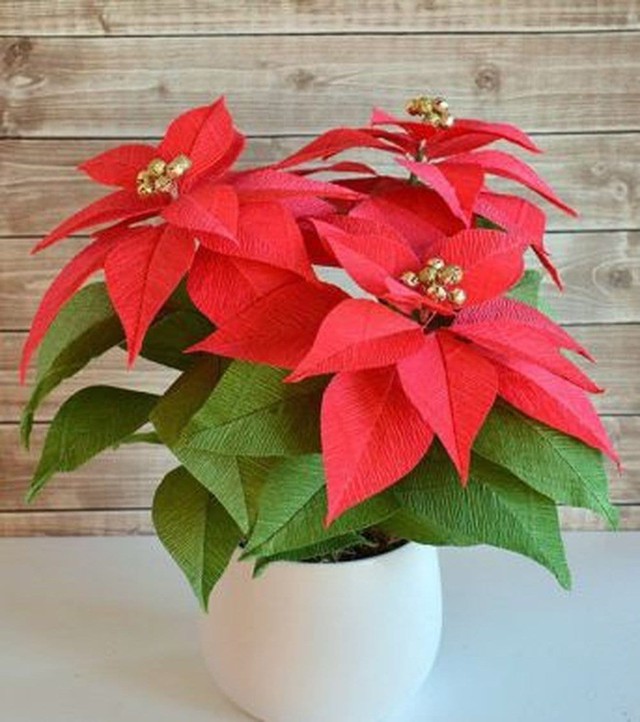 Sang năm 2022, nên mua cây phong thủy nào để mang đến may mắn và tài lộc trong năm mới? - Ảnh 5.