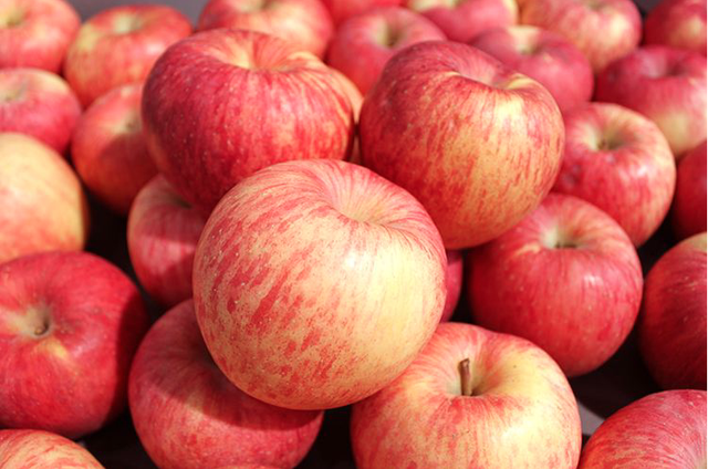 Phụ nữ mỗi sáng đều ăn 1 quả táo khi bụng đói, 7 ngày sau cơ thể sẽ nhận được những thay đổi tuyệt vời cho cả làn da lẫn vóc dáng - Ảnh 4.