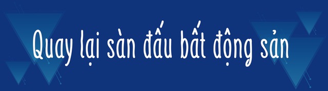 2021 - năm trâu mỹ mãn của tỷ phú tuổi Sửu Trần Đình Long: Đi Úc mua mỏ quặng, xóa sổ mảng nội thất, dồn lực làm điện máy, chinh phạt đại đô thị - Ảnh 6.