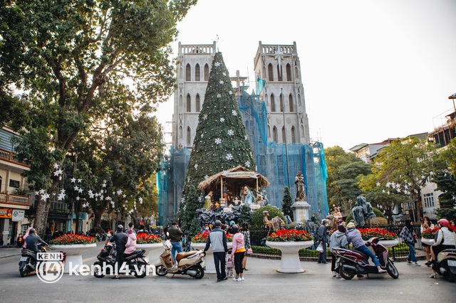 Ảnh: Cuối tuần nắng đẹp, giới trẻ Hà Nội đổ về Nhà thờ lớn chụp ảnh với cây thông khổng lồ - Ảnh 2.