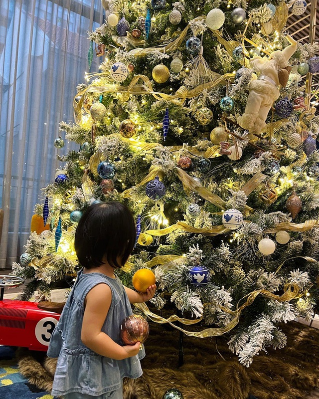Cuộc đọ ngầm của các gia đình nổi tiếng vào dịp Noel xem ai có cây thông to và đẹp nhất, bất ngờ bởi giá trị lên tới hàng trăm triệu để vui một mùa - Ảnh 5.