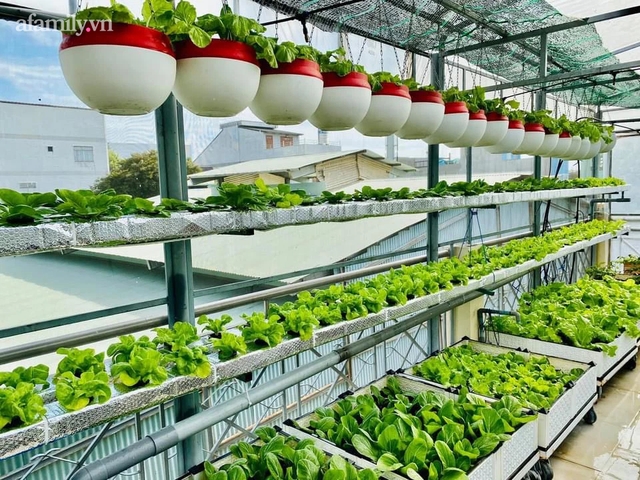 Ngắm nông trại nhỏ xanh mướt mắt trên sân thượng của nữ doanh nhân Đồng Nai khiến ai nấy đều thích mê - Ảnh 10.