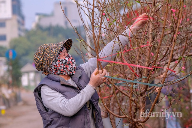 Hơn tháng nữa là Tết: Đào Nhật Tân vừa xuống phố đã bị khách mở hàng ép giá, tiểu thương thà ế chứ nhất quyết không bán rẻ - Ảnh 11.