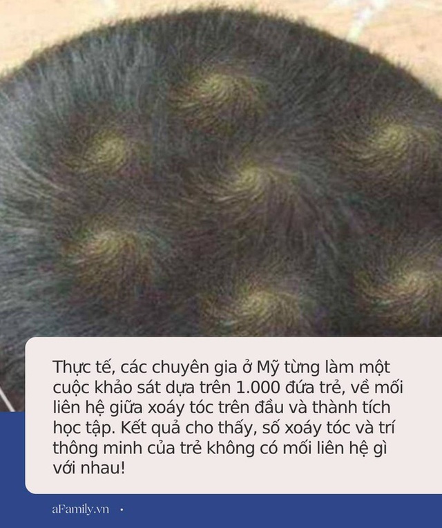 Nếu con có dấu hiệu này, bố mẹ đừng lầm tưởng là THÔNG MINH: Các nhà khoa học nói rồi, nó chẳng liên quan gì đến IQ cả! - Ảnh 2. Nếu con có dấu hiệu này, bố mẹ đừng lầm tưởng là THÔNG MINH: Các nhà khoa học nói rồi, nó chẳng liên quan gì đến IQ cả! - Ảnh 2.