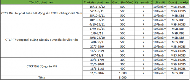  8.000 tỷ đồng trái phiếu không tài sản đảm bảo của TNR Holdings - Ảnh 1.