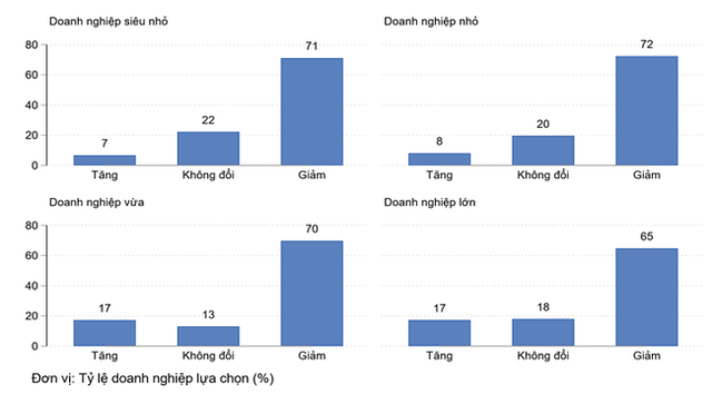 Doanh thu của hơn 70% doanh nghiệp nhỏ và vừa tiếp tục giảm, nguy cơ “kiệt quệ” về tài chính - Ảnh 1.