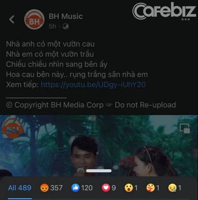 Facebook của BH Media và BH Music bị cư dân mạng công kích sau khi trận đấu của đội tuyển Việt Nam bị tắt quốc ca trên YouTube - Ảnh 4.