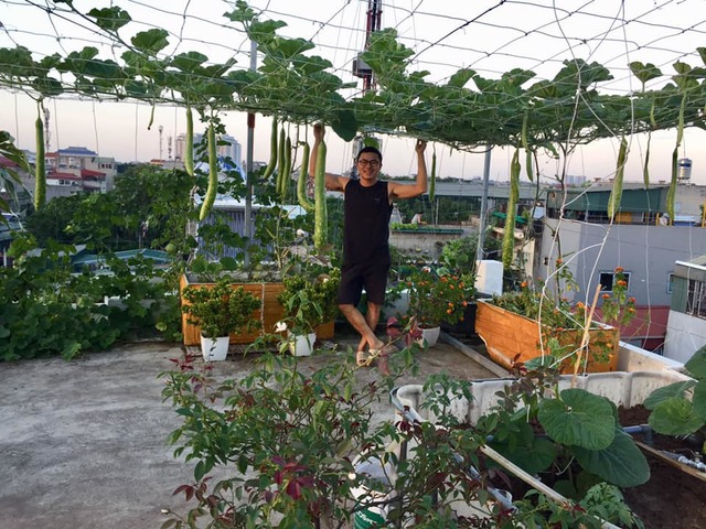 Anh nông dân sân thượng Hà Nội tạo dựng khu vườn tuyệt vời truyền tình yêu thiên nhiên cho con trẻ - Ảnh 11.