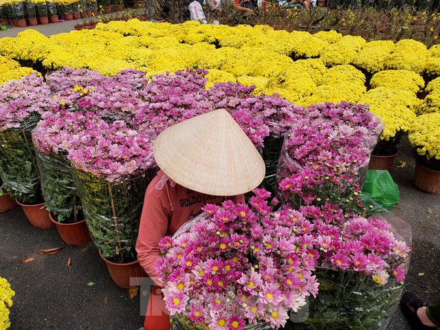 Bonsai mini độc lạ tiền triệu hút khách tại chợ hoa Tết - Ảnh 2.