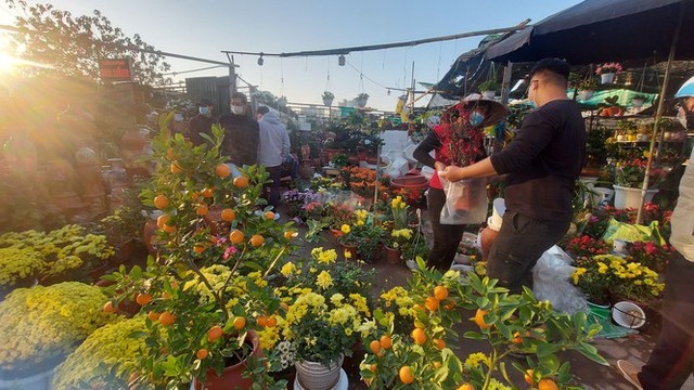 Người bán đồng loạt treo biển giảm giá, xả cây và hoa ngày cuối năm - Ảnh 11.