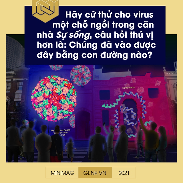 Một biên niên sử về virus: Từ những thiên thần của tiến hóa tới cơn ác mộng COVID-19 - Ảnh 6.