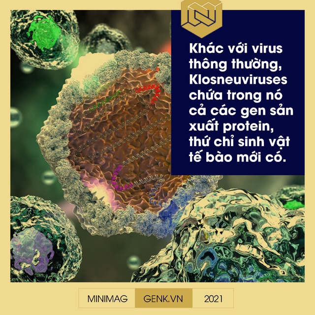 Một biên niên sử về virus: Từ những thiên thần của tiến hóa tới cơn ác mộng COVID-19 - Ảnh 10.