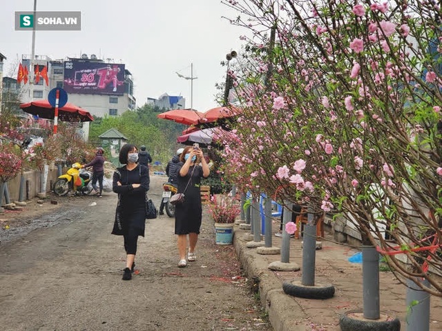 Đua nhau mua hàng trăm cành cây như củi khô, hàng tuyển có gì mà hét giá 7 triệu? - Ảnh 12.