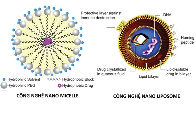  Bí mật về tấm khiên cực mạnh - khẩu trang made in Vietnam 100% mang tên Wakamono, diệt virus Corona đến 99% - Ảnh 3.