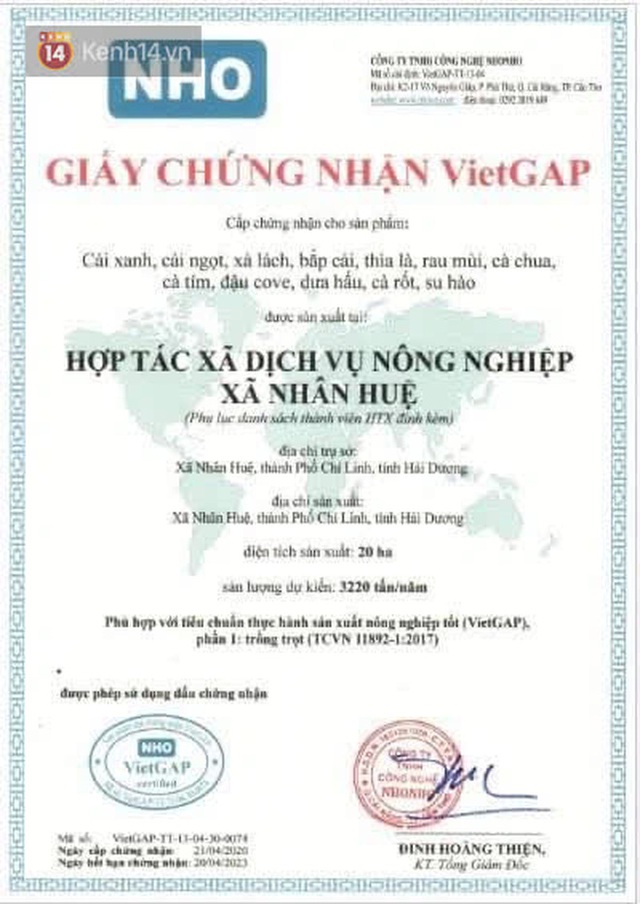 Chuyện người Hà Nội giải cứu hàng chục tấn nông sản: Hàng bán được, bà con Hải Dương mừng lắm - Ảnh 2.