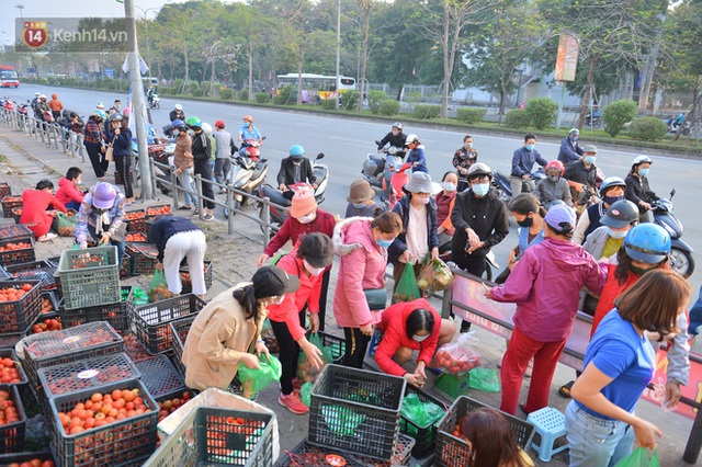 Chuyện người Hà Nội giải cứu hàng chục tấn nông sản: Hàng bán được, bà con Hải Dương mừng lắm - Ảnh 6.