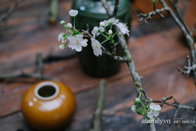 Có người Hà Nội bỏ hàng chục triệu mua hoa lê chơi xuân, nhưng thú chơi này có thực sự thanh nhã như người ta tưởng? - Ảnh 16.