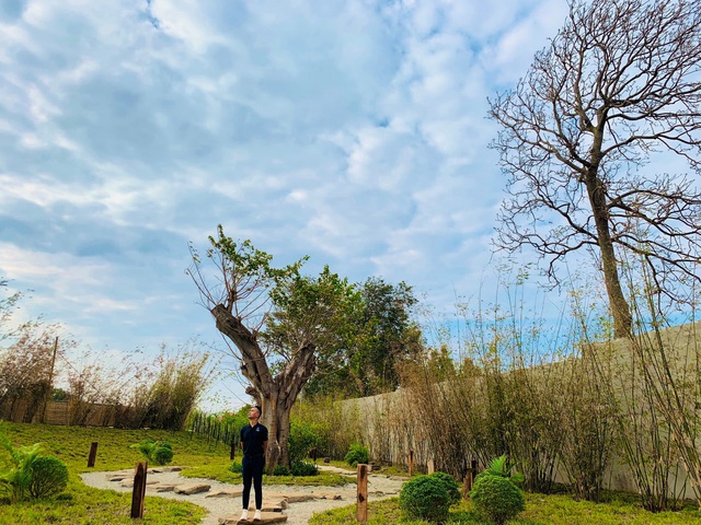 Vườn Zen gần 1ha trong tổ hợp BĐS của ông Đặng Lê Nguyên Vũ vừa khai trương: Xây theo kiến trúc chữa lành Thân – Tâm – Trí, thu vé vào cổng bằng… cây - Ảnh 4.