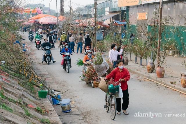 Có người Hà Nội bỏ hàng chục triệu mua hoa lê chơi xuân, nhưng thú chơi này có thực sự thanh nhã như người ta tưởng? - Ảnh 9.