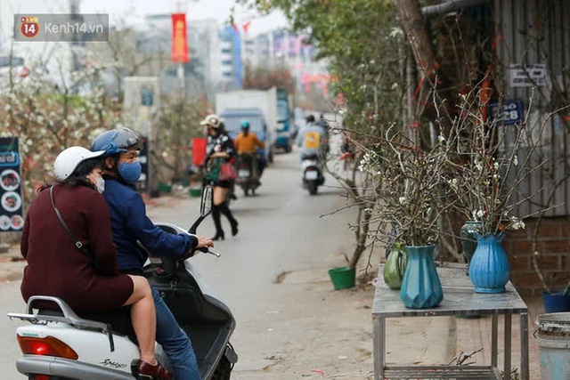 Ảnh: Hàng trăm người dân Hà Nội đổ xô đi mua hoa lê về chơi Rằm tháng Giêng - Ảnh 15.