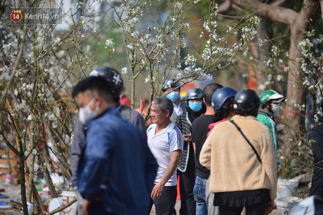 Ảnh: Hàng trăm người dân Hà Nội đổ xô đi mua hoa lê về chơi Rằm tháng Giêng - Ảnh 9.