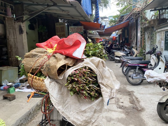 Chợ họp sớm, tiểu thương bỏng tay đóng hàng tạ xôi ngày Rằm - Ảnh 2.