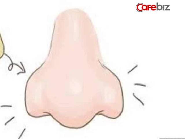 6 nét tướng mặt phú quý trời ban cho đàn ông: Sự nghiệp lẫy lừng, gia đạo ấm êm! - Ảnh 1. 6 nét tướng mặt phú quý trời ban cho đàn ông: Sự nghiệp lẫy lừng, gia đạo ấm êm! - Ảnh 1.
